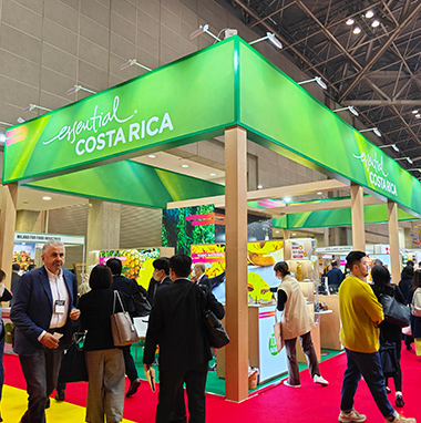 日本展會(huì)搭建